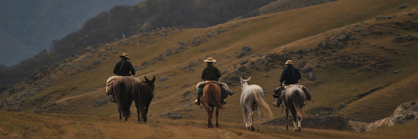 Por la senda del Tafí | Acampar Trek